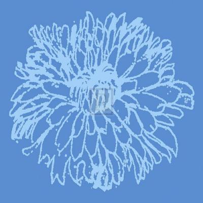 Chrysanthemum Bloom II