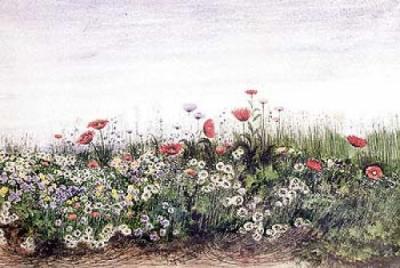 Hedgerow I art print by Andrew Nicholl