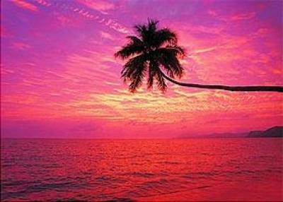 Anonymous-Paradise-Cove-104171.jpg