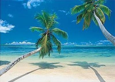 Paradise Sands art print by Anonymous