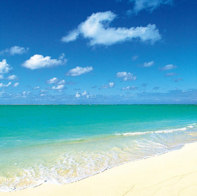 Tropical Horizons III art print by Anonymous