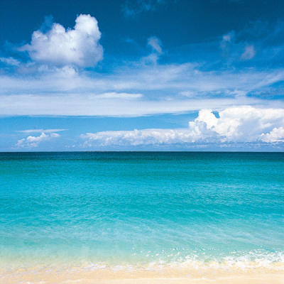 Tropical Horizons V