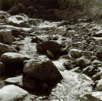 Mountain Stream art print by Ansel Adams