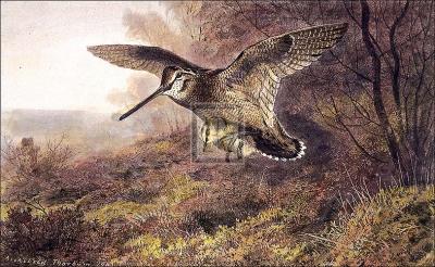 A Labour of Love art print by Archibald Thorburn
