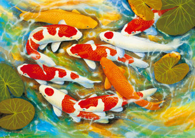 Koi - Carp art print by B. Lee