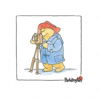 Paddington Bear art print by Barry Macey