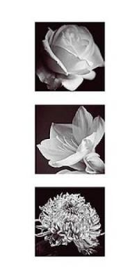 Flower Panel I art print by Bill Philip