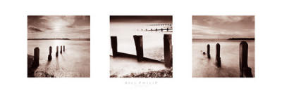 Spring Tide art print by Bill Philip