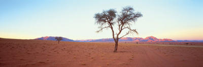 Desert Twilight art print by Chris Simpson