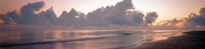 Distant Shore art print by Chris Simpson