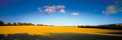 Great Meadow art print by Chris Simpson