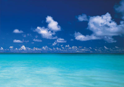 Island Dream