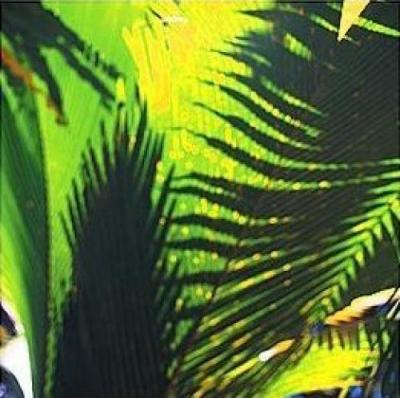 Palm Shadows I