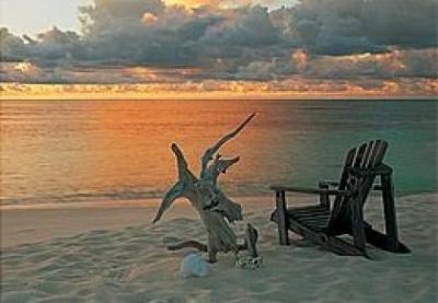 Tropical Sundowner