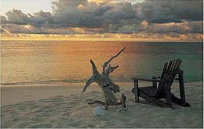 Tropical Sundowner