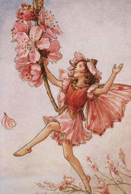 The Almond Blossom Fairy art print by Cicely Mary Barker
