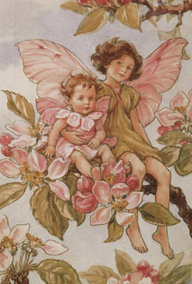 The Apple Blossom Fairy art print by Cicely Mary Barker