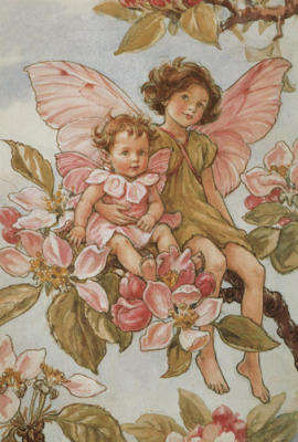 The Apple Blossom Fairy art print by Cicely Mary Barker