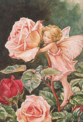 The Rose Fairy art print by Cicely Mary Barker