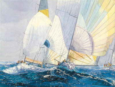 Spinnakers art print by Dan Jacobson