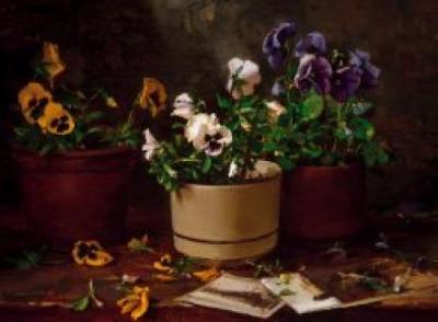 Pansies in Terra Cotta art print by Del Gish