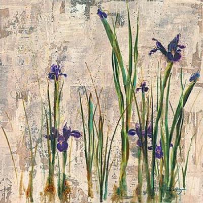 Iris Mist I art print by Dennis Carney