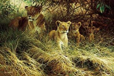 Mother's Pride art print by Dick Van Heerde