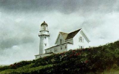 Cape Elizabeth art print by Doug Brega
