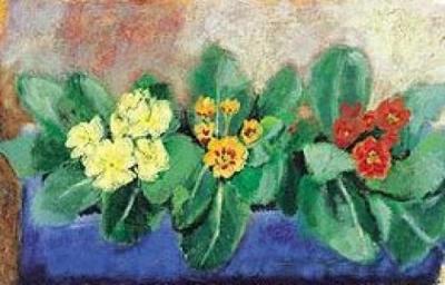 Polyanthus