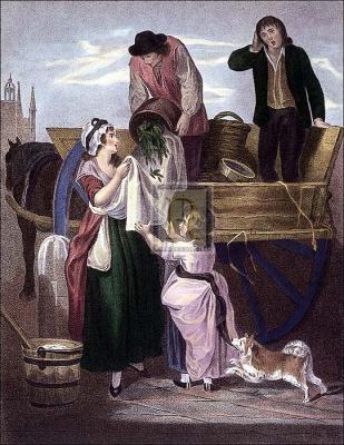 Freshley gathered peas young Hastings art print by Francis Wheatley R.A.