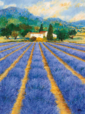 Champs de Lavande art print by Hazel Barker