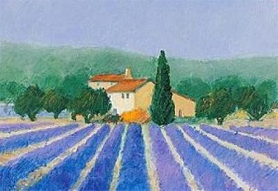 Lavender Field near St. Tropez