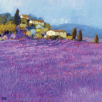 Wild Lavender, Provence art print by Hazel Barker