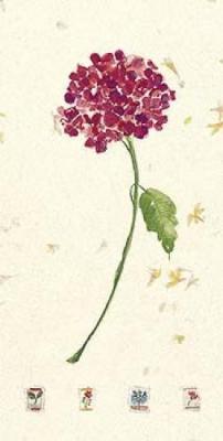 Hydrangea art print by Jenny Tsang