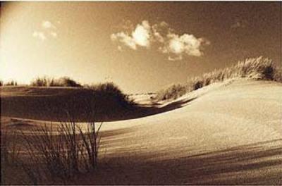 Into the Light art print by Jo Crowther