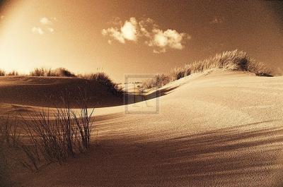 Into the light art print by Jo Crowther
