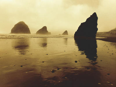 The Reflecting Tide art print by Jo Crowther