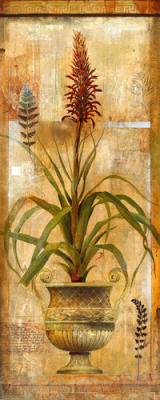 Rojo Botanical II art print by John Douglas
