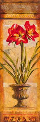 Rojo Botanicals III art print by John Douglas