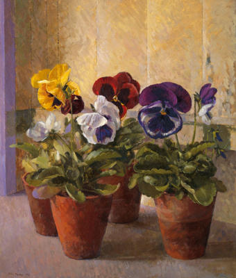 Four Pots of Auriculas art print by John Morley