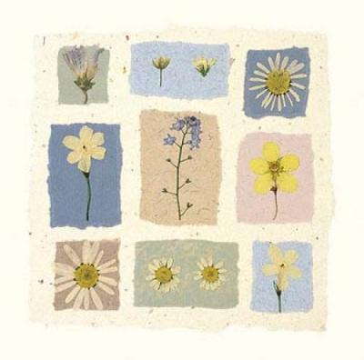 Meadow Flowers II art print by Julie Lavender