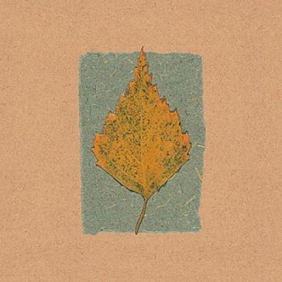 November Leaves I