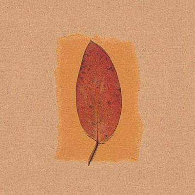 November Leaves IV