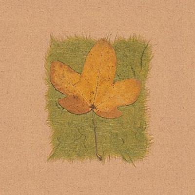 November Leaves IX