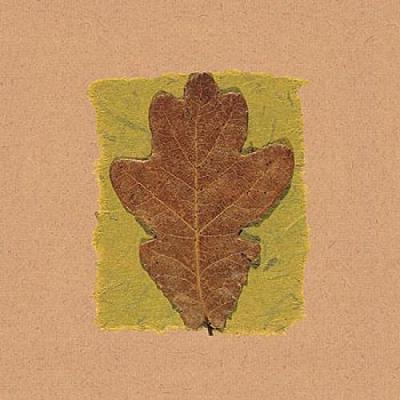 November Leaves VI