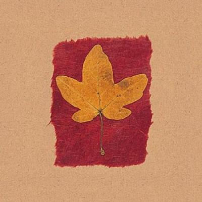 November Leaves XII art print by Julie Lavender