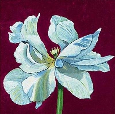 From Flower to Bud IV art print by Kate Mawdsley