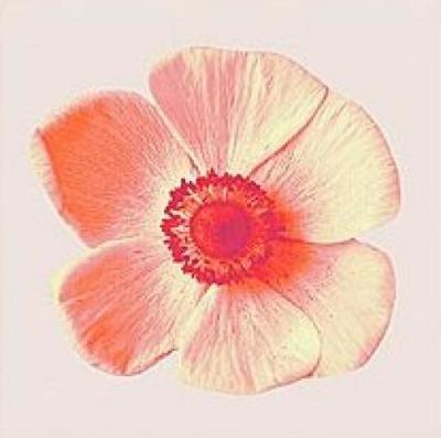 Pink Flowers II art print by Katja Marzahn
