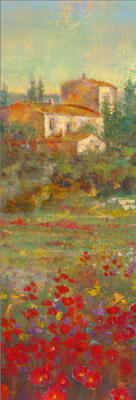 Provencal Village V