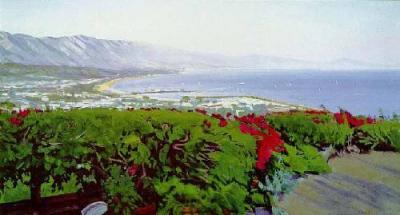 Bay And Bougainvillea art print by Marcia Burtt